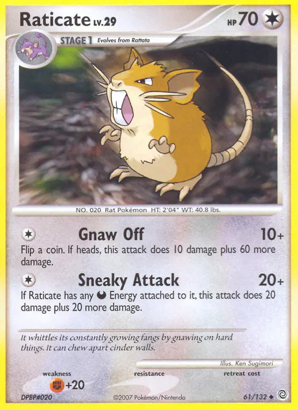 Raticate Lv.29 #61