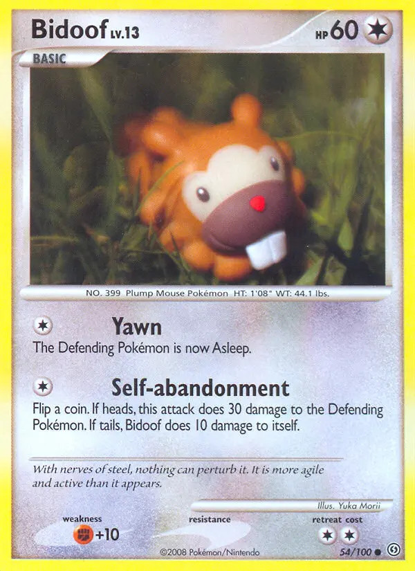 Bidoof Lv.13 #54