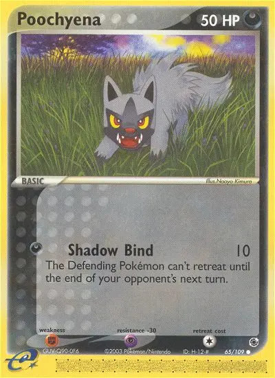 Poochyena #65