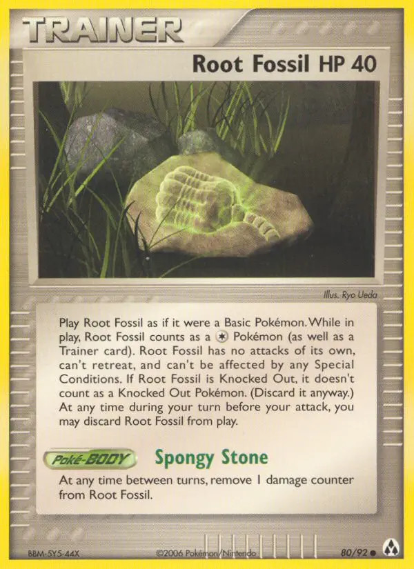 Root Fossil #80