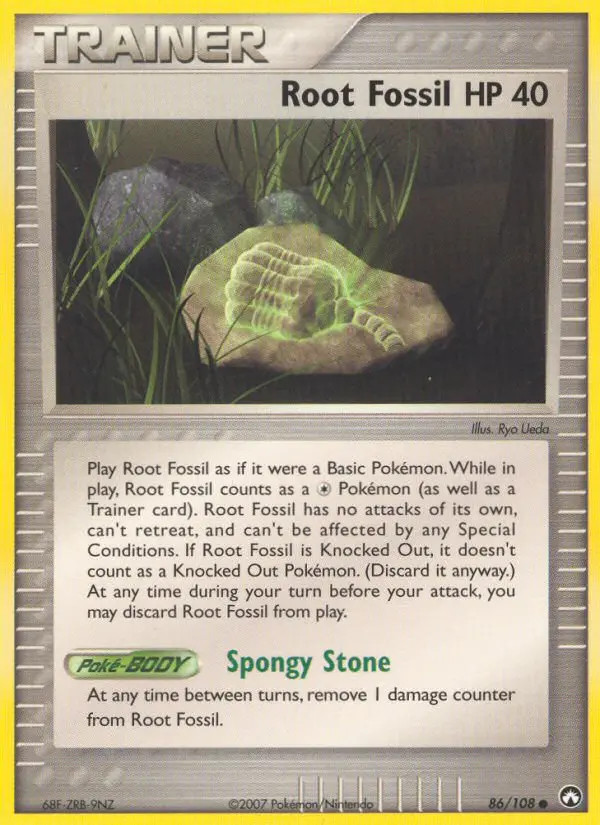 Root Fossil #86