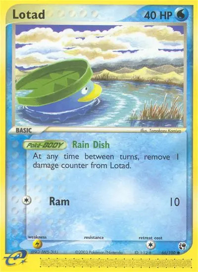 Lotad #66