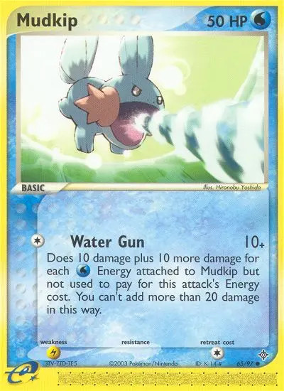 Mudkip #65