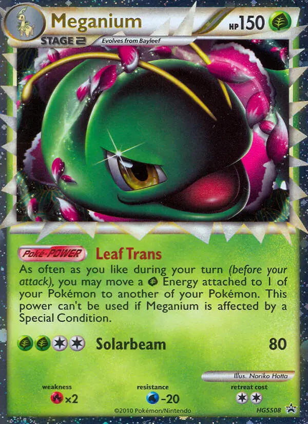 Meganium #08