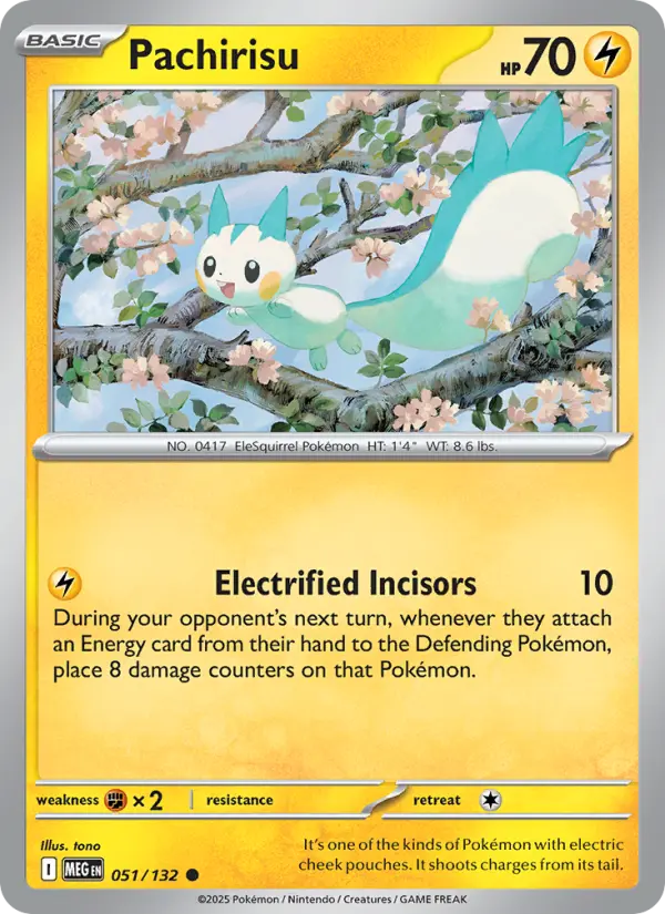 Pachirisu #051
