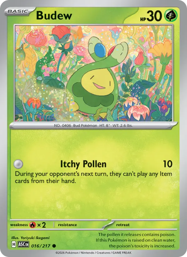 Budew #016