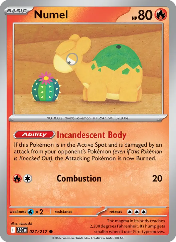 Numel #027