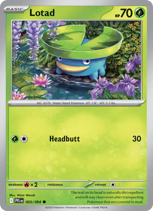 Lotad #005