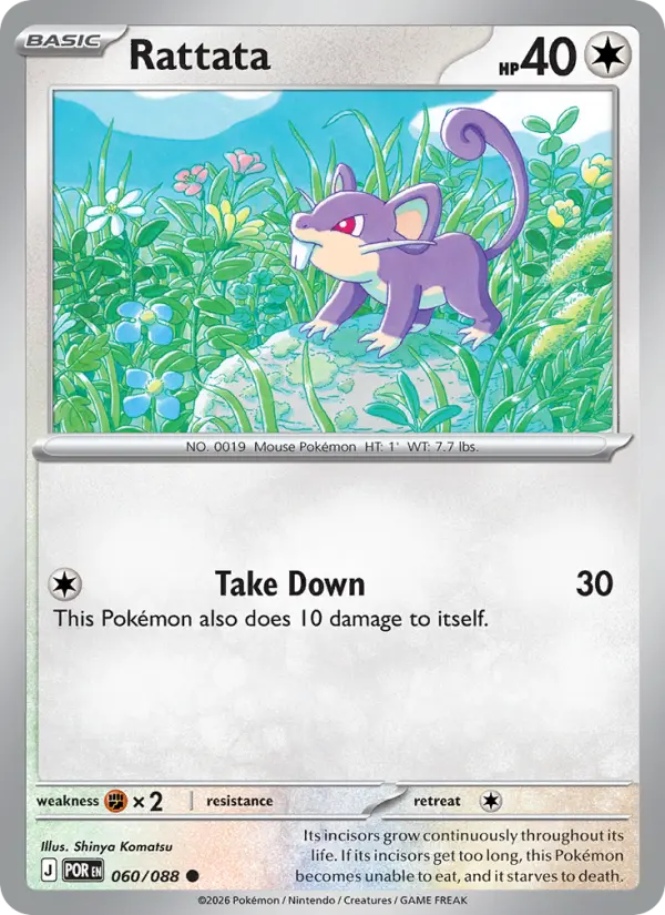 Rattata #060