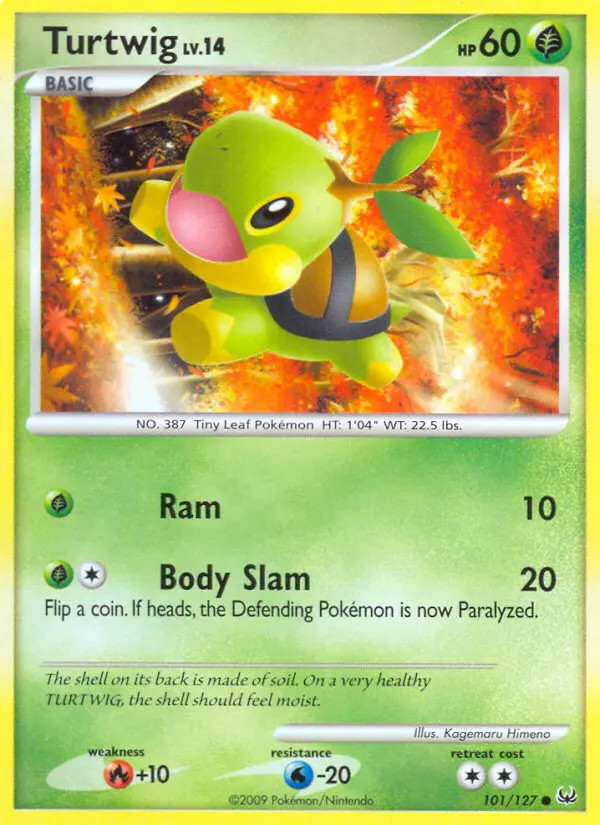 Turtwig Lv.14 #101