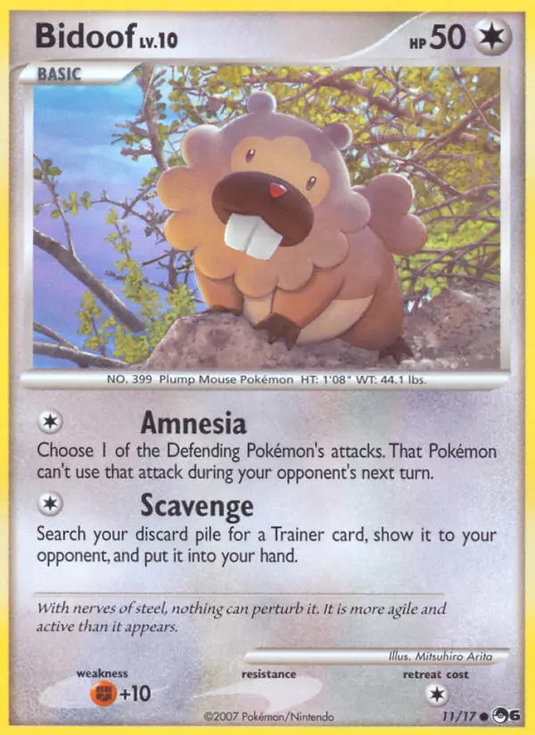 Bidoof Lv.10 #11