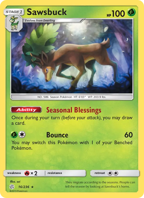 Sawsbuck #16