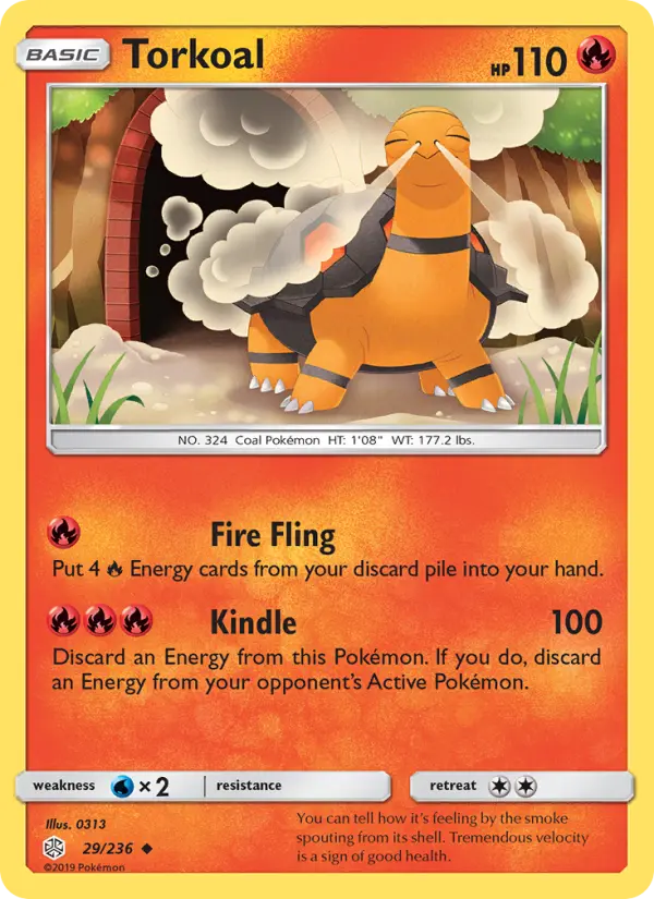Torkoal #29