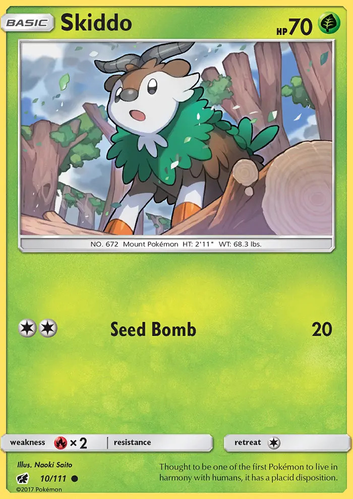 Skiddo #10