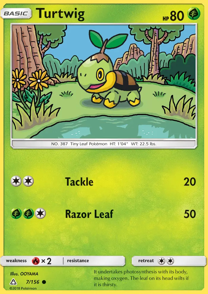 Turtwig #7