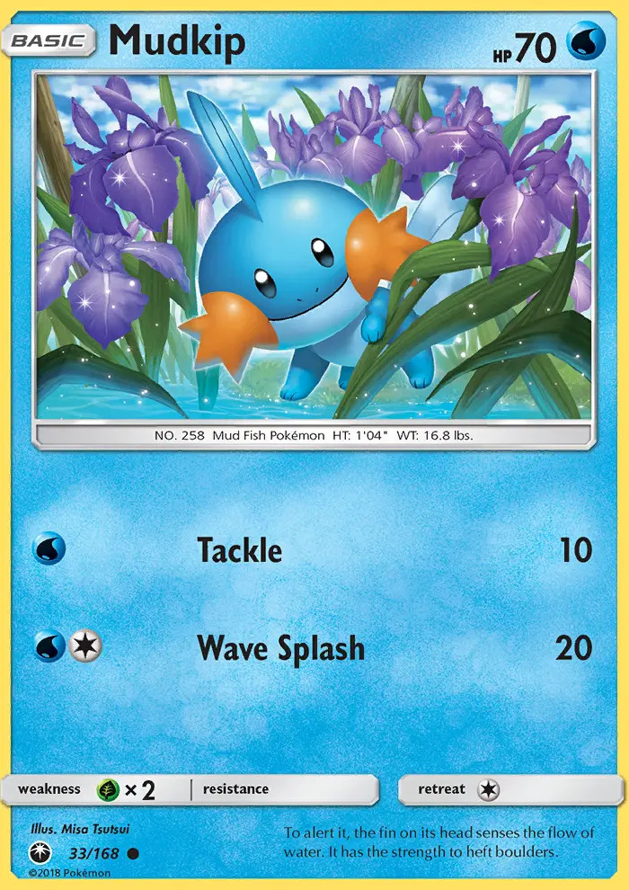 Mudkip #33