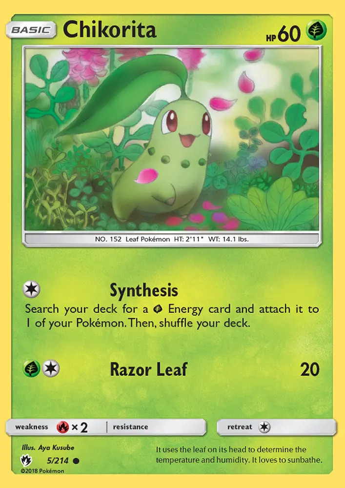 Chikorita #5