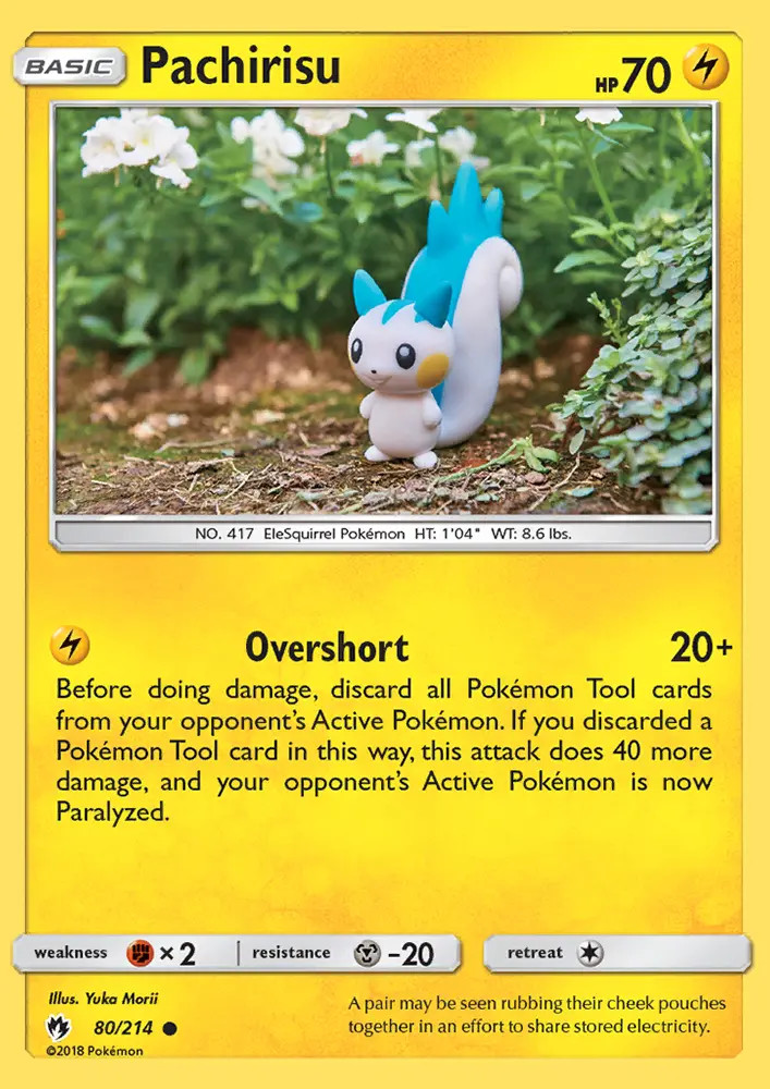 Pachirisu #80