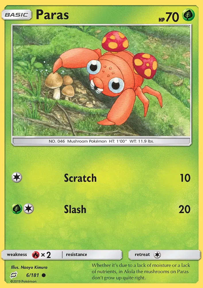 Paras #6