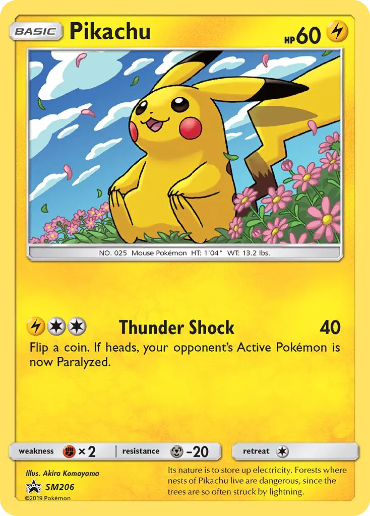 Pikachu #206
