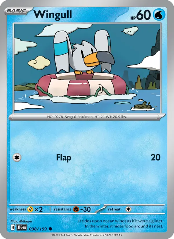 Wingull #038
