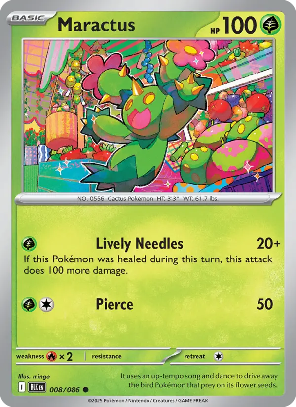 Maractus #008