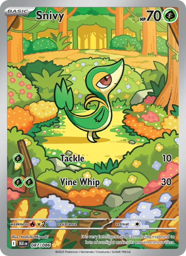 Snivy #087