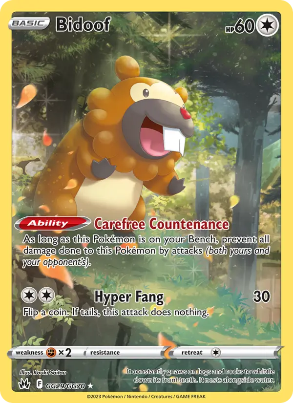 Bidoof #29
