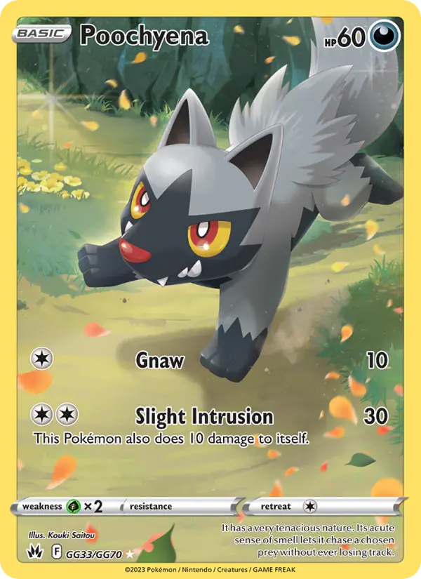 Poochyena #33