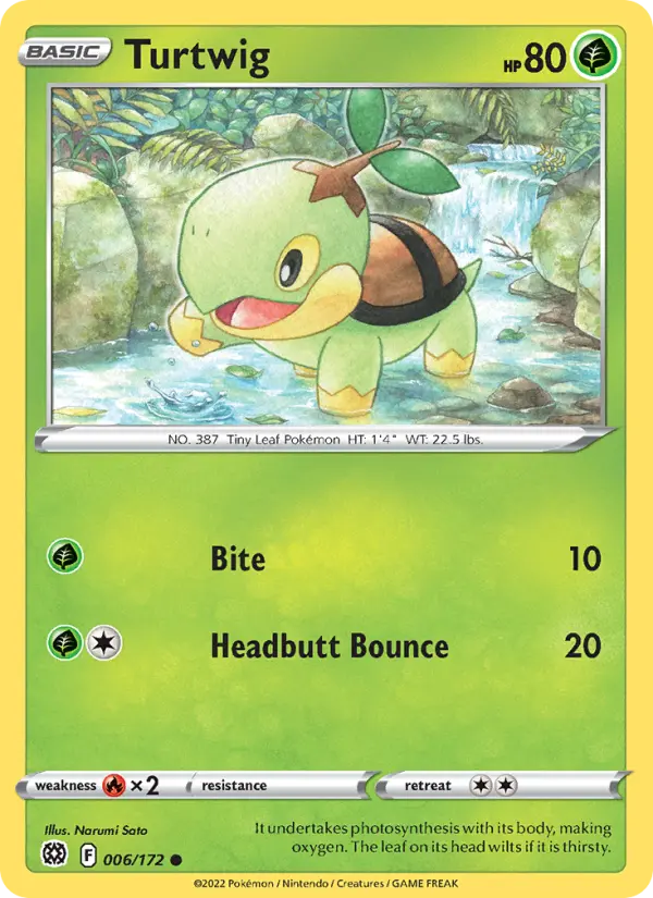 Turtwig #006