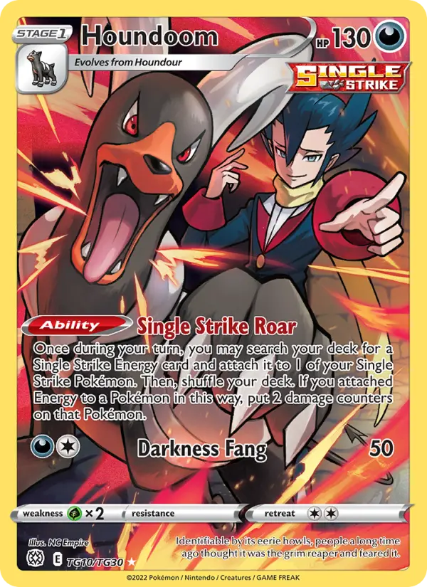 Houndoom #10