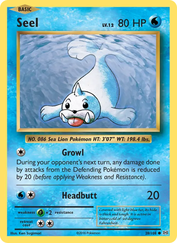 Seel #28