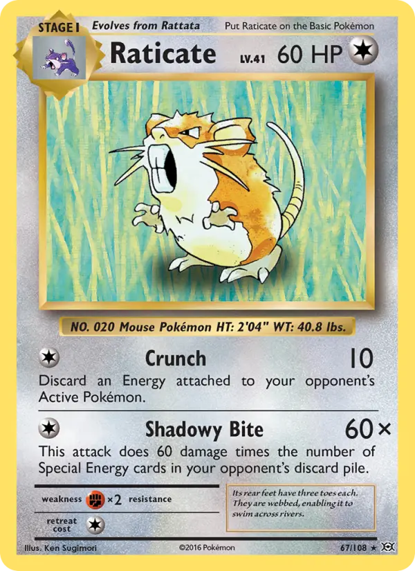 Raticate #67