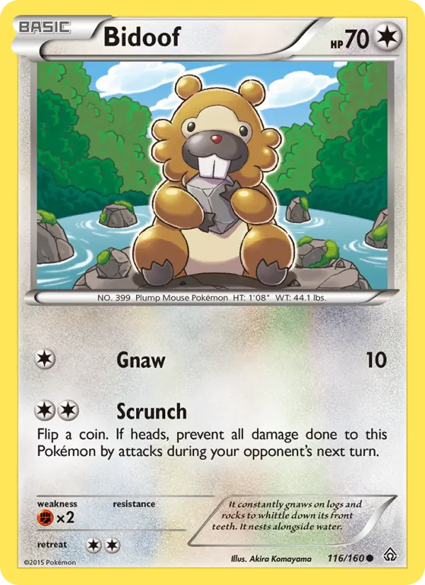 Bidoof #116