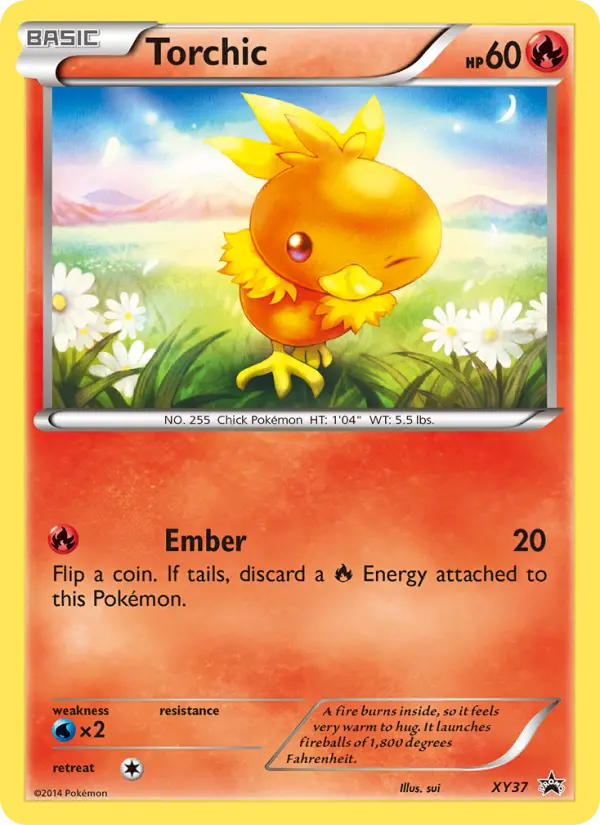 Torchic #37