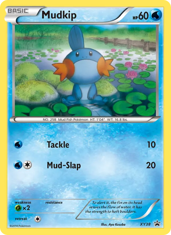 Mudkip #38