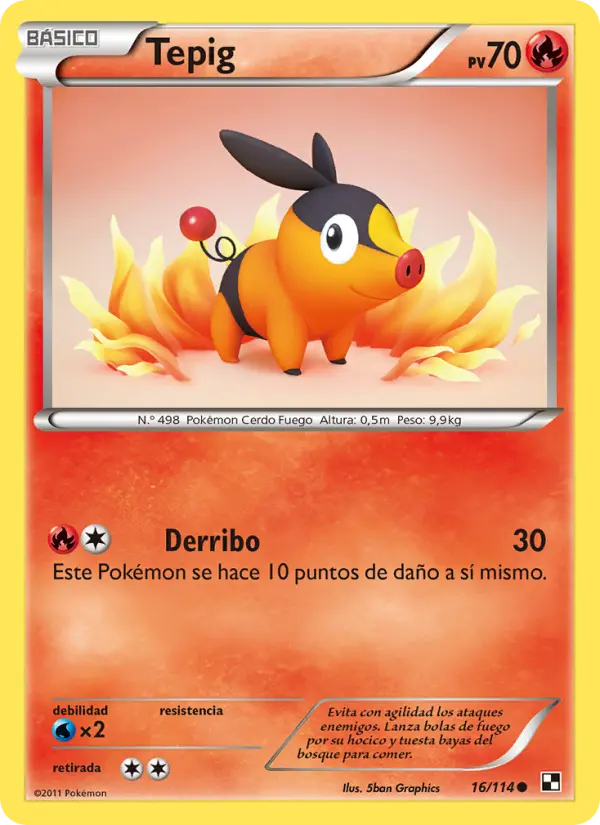 Tepig #16