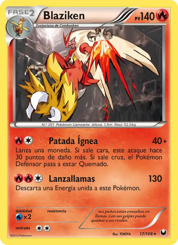 Blaziken #17