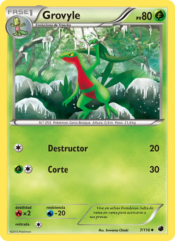 Grovyle #7