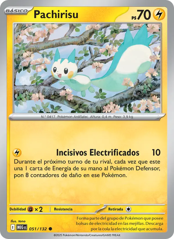 Pachirisu #051