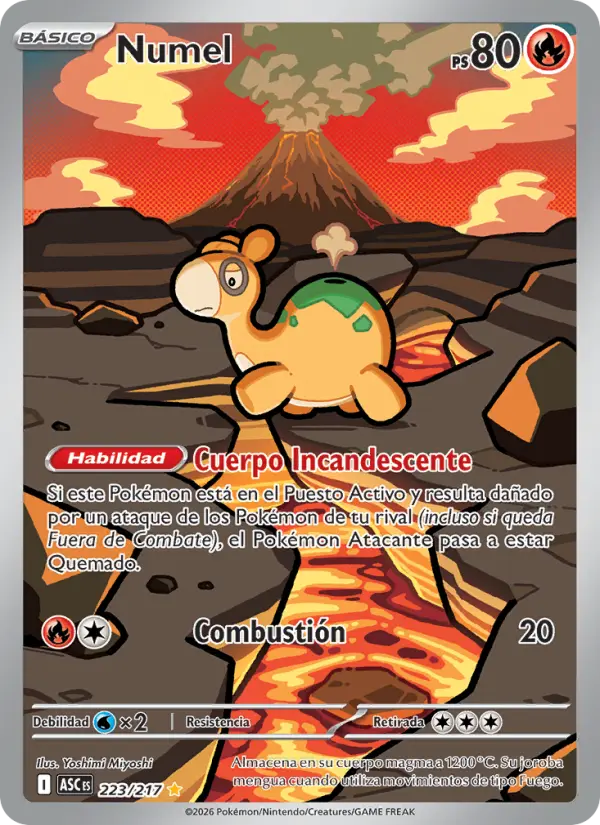 Numel #223