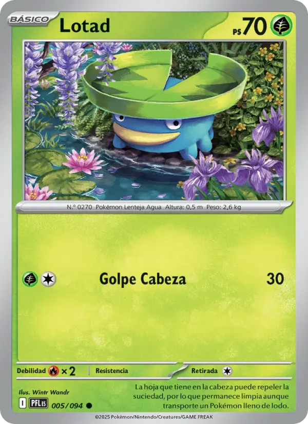 Lotad #005