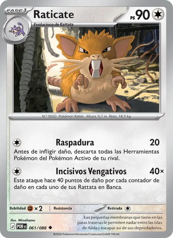 Raticate #061