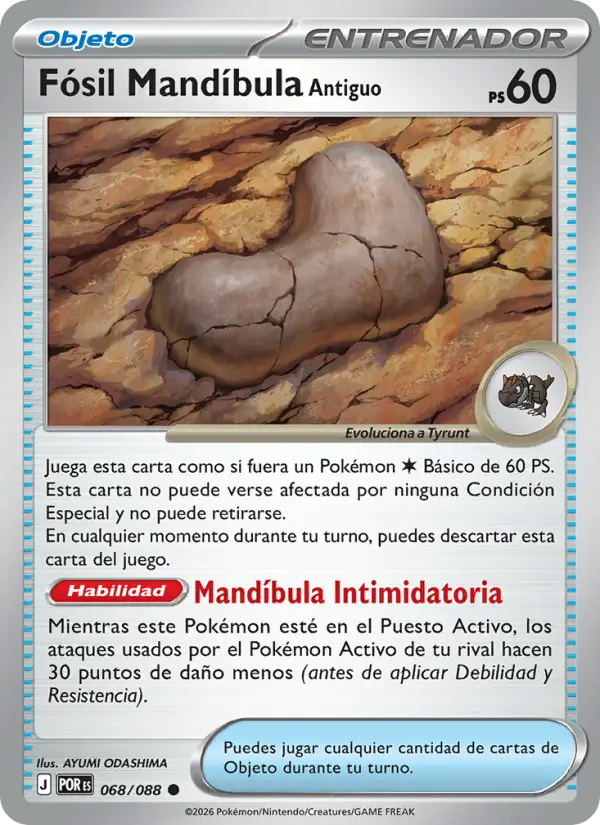 Fósil Mandíbula Antiguo #068 — Equilibrio Perfecto