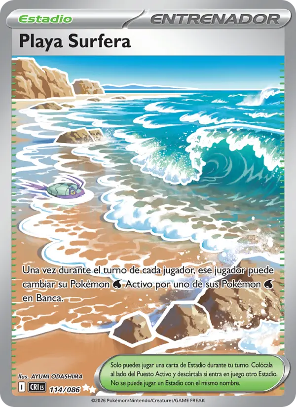 Surfing Beach #114