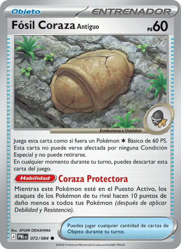 Fósil Coraza Antiguo #072