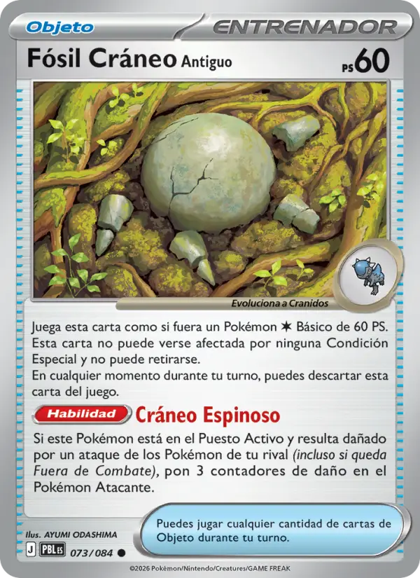 Fósil Cráneo Antiguo #073
