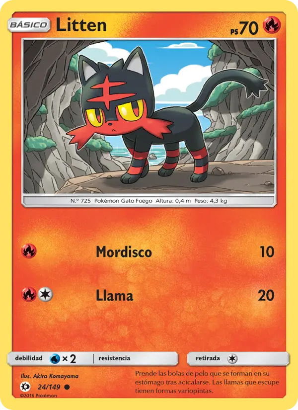 Litten #24