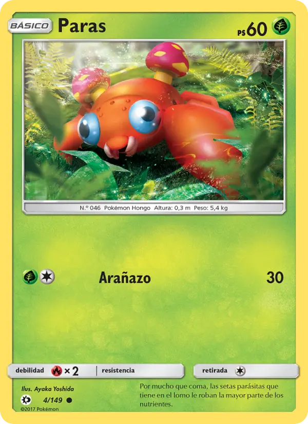 Paras #4