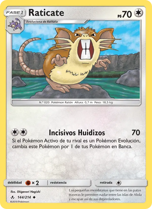 Raticate #144